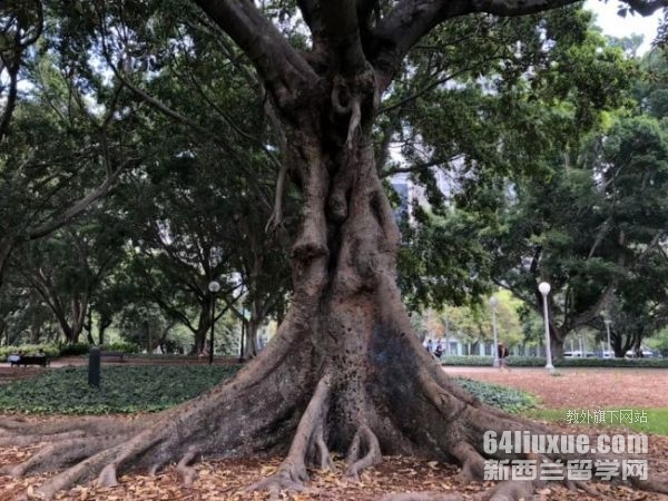 利兹大学研究生申请条件及要求