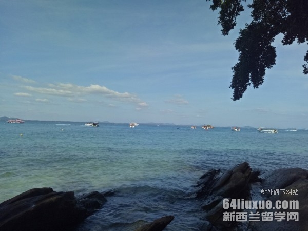 ̩��������ѧ����