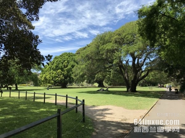 谢菲尔德大学申请要求