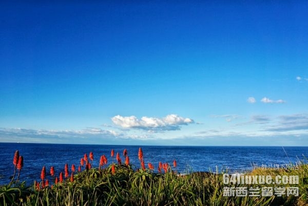 澳大利亚留学研究生读几年