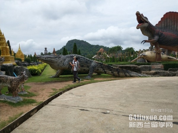 ̩����ѧ������ѧ