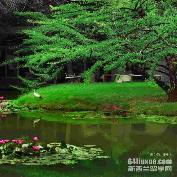 ̩����һ���ѧѧ�Ѷ���Ǯ