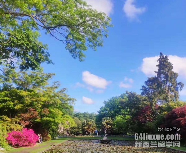 新西兰公立高中留学