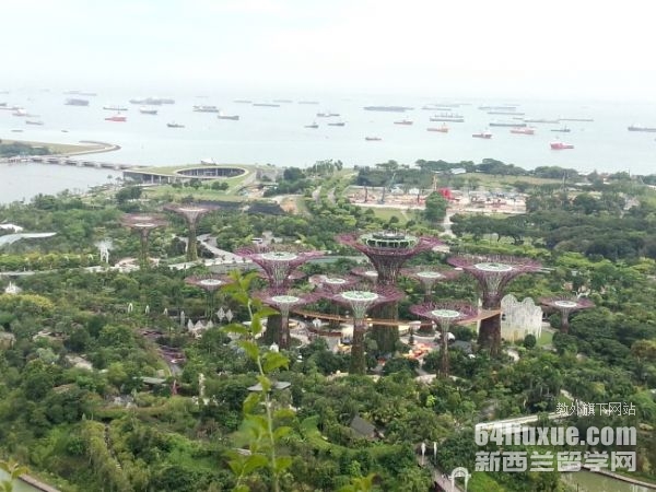 新加坡私立大学一年的费用