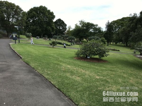 新南威尔士大学qs全球排名