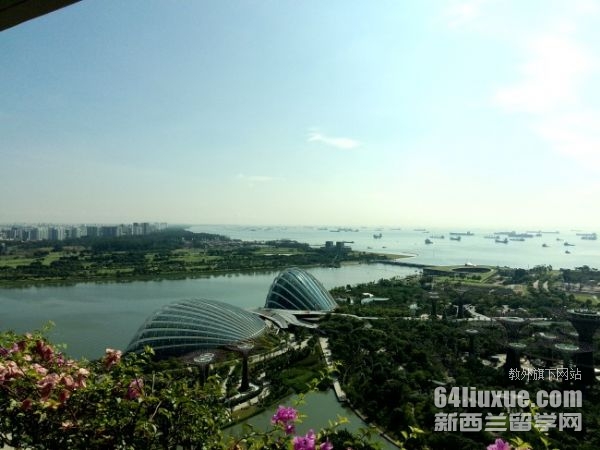 新加坡大学研究生计算机申请要求