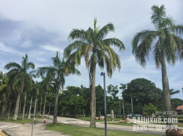 新加坡法学硕士申请条件