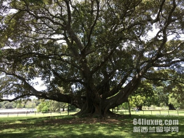 �Ĵ�����˽��Сѧѧ��