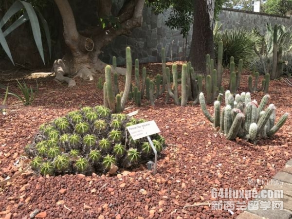 澳大利亚留学生大学