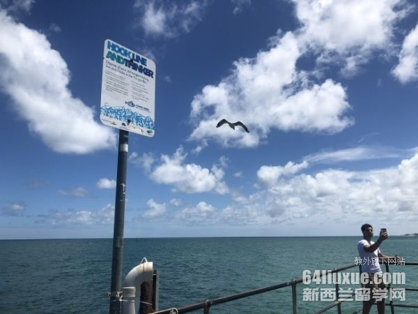 �Ĵ�������ѧ�����о���