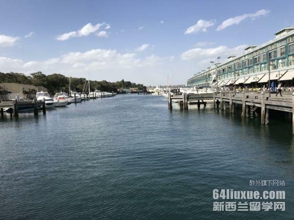 �Ĵ����ǹ�����ѧѧ�Ѷ���