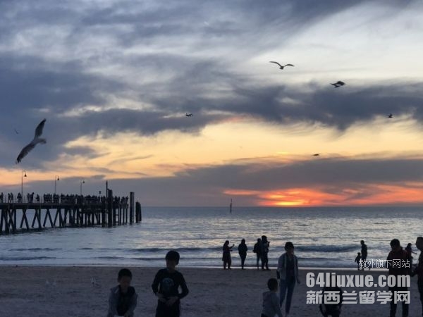 �Ĵ�������ѧ�о���