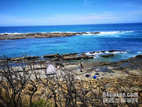 �Ĵ�����˶ʿ�о�����ѧ����