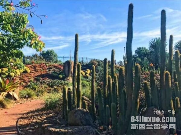 ����˽Уѧ�Ѷ���Ǯ