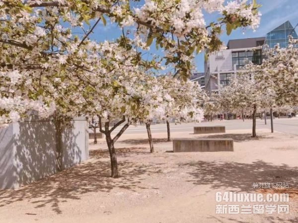 �Ĵ�����˽��ѧУѧ��