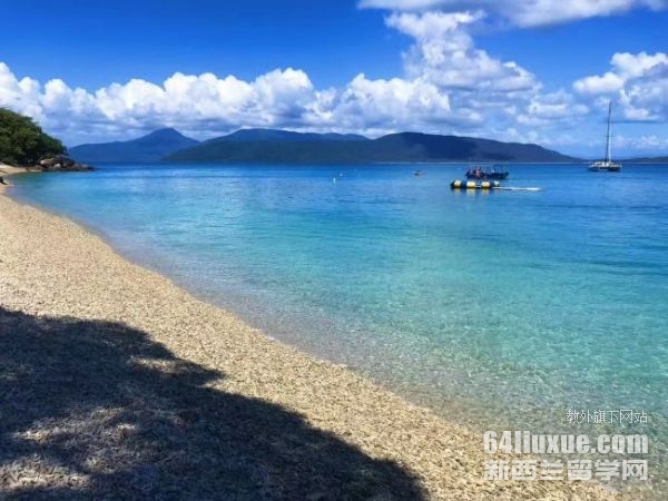 �Ĵ�������ѧ���о�����Ҫ����