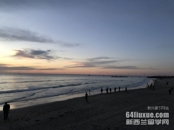 �Ĵ�������ѧ���о�����Ҫ����