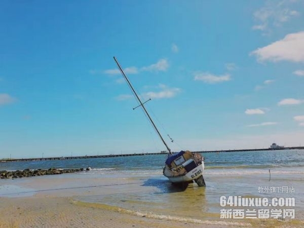 �Ĵ�������ѧ�о�����Ҫ����