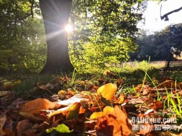 ��ʿ����ѧ�о�����������