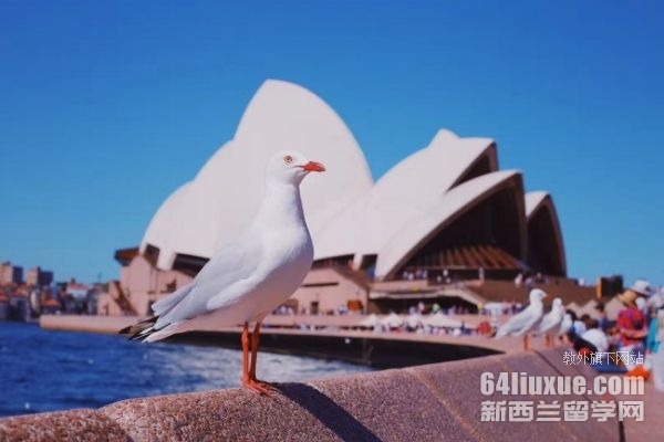 ����ī�����Ĵ�ѧ