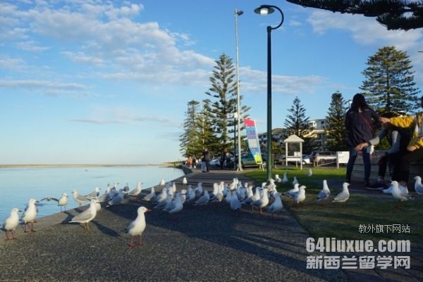 澳大利亚读博留学