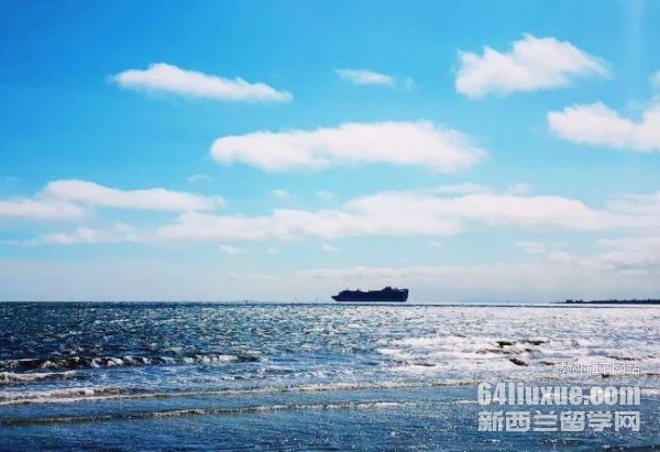 澳大利亚设计类大学