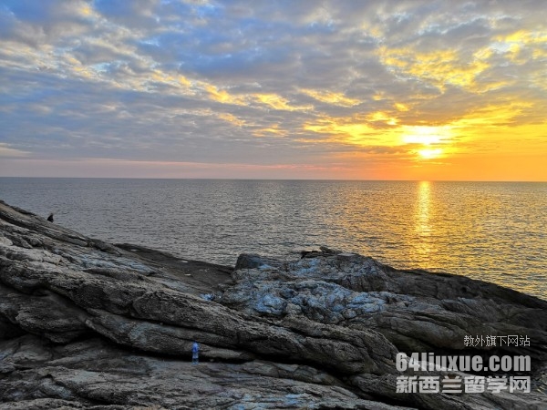 ̩������������ѧqs����