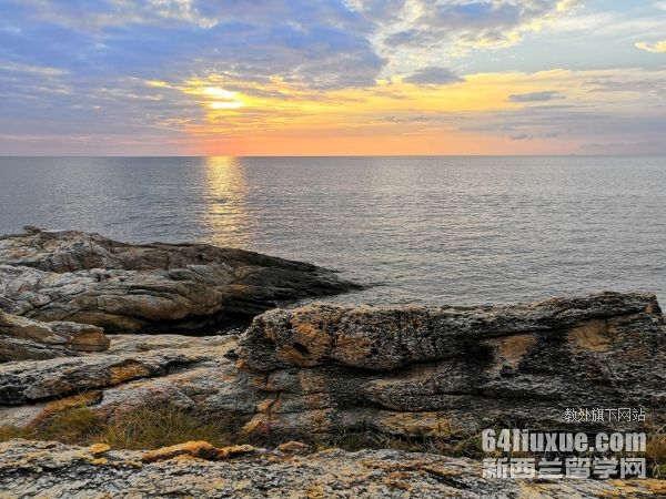 泰国艺术大学学费多少