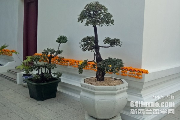 泰国大学申请要求