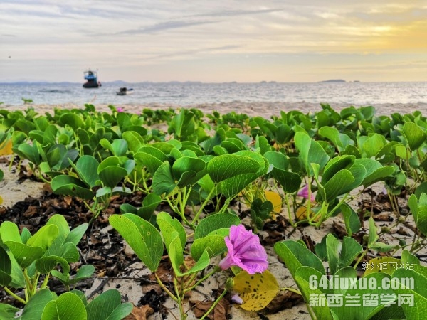泰国农业大学世界排名