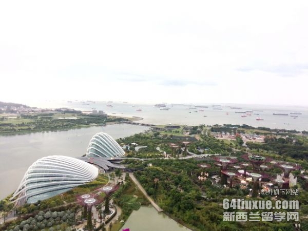 新加坡sim大学硕士专业