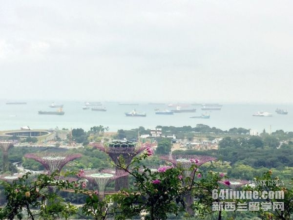 读新加坡的国际学校的费用