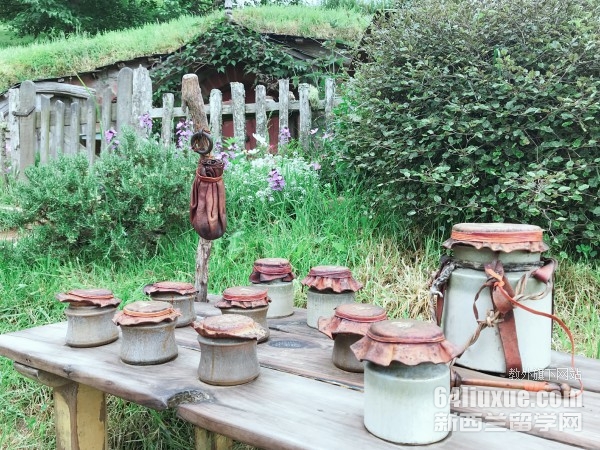 奥克兰大学研究生留学专业