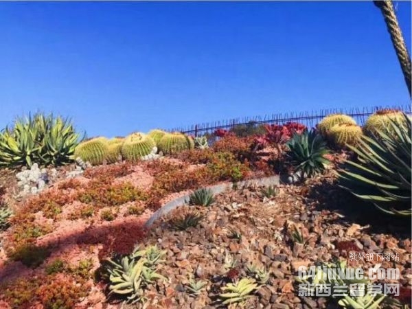 澳大利亚学校申请费