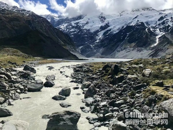 新西兰医科专业留学的大学