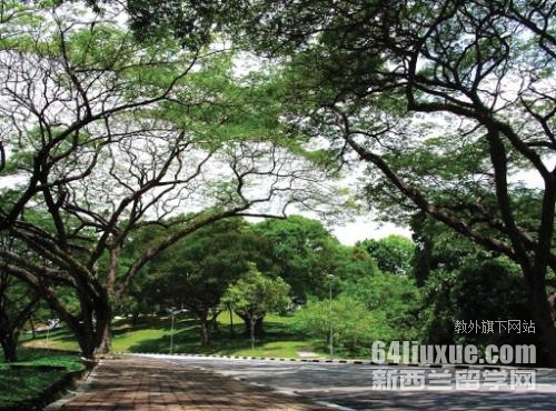 马来西亚usm大学学费