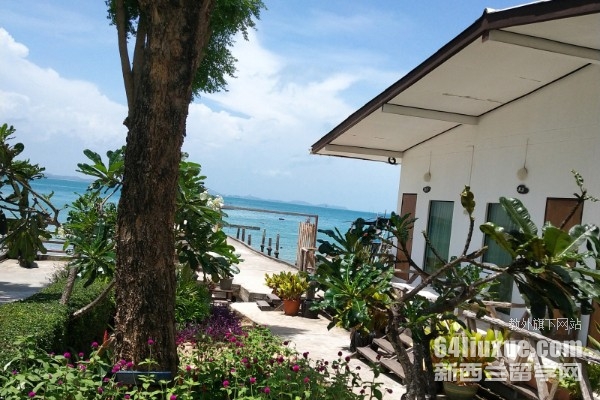 ̩��ʫ�ɿ��������ѧѧ��