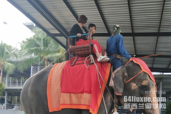 泰国大城皇家学院