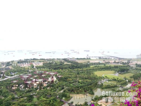 新加坡管理学研究生