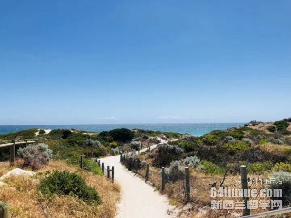 �Ĵ����ǲ�ʿ��ѧ��