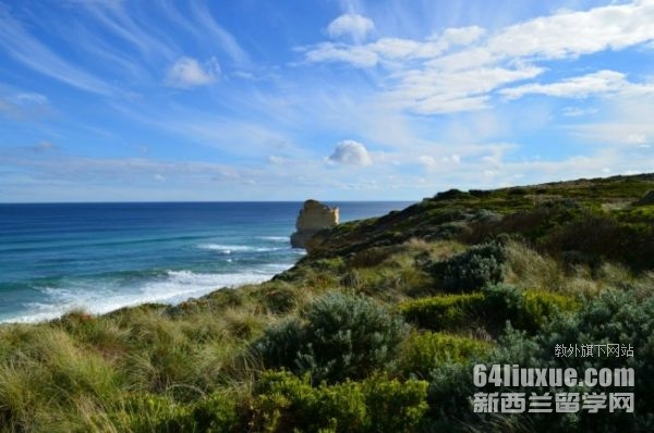 �Ĵ����ǲ��˹����Ĵ�ѧ