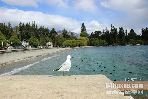 新西兰商科研究生留学费用