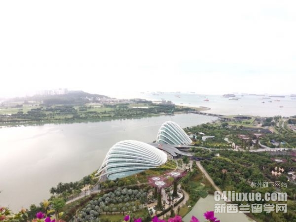 初中留学新加坡一年花费
