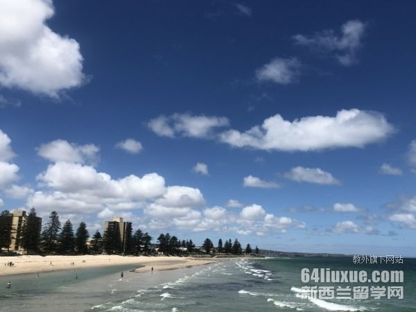 �Ĵ����ǲ�������רҵ