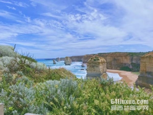 �Ĵ����ǹ���רҵ