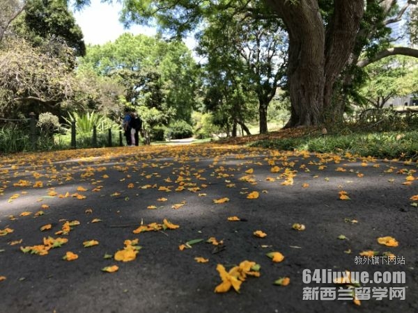 澳大利亚留学费用高