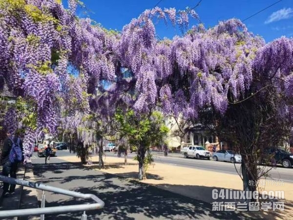 ���Ĵ�������ѧ����Ǯ