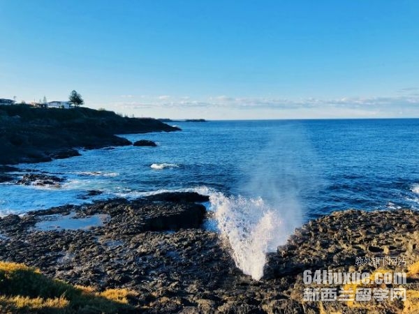 �Ĵ����Ǵ�ѧ�ϼ���