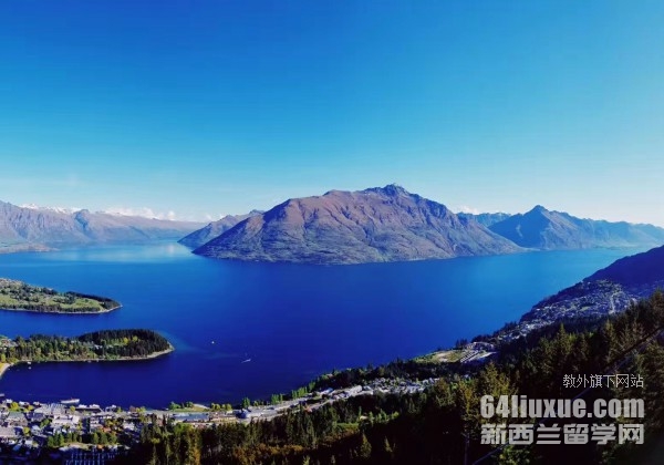 �������¿���������ѧ��ѧ��רҵ