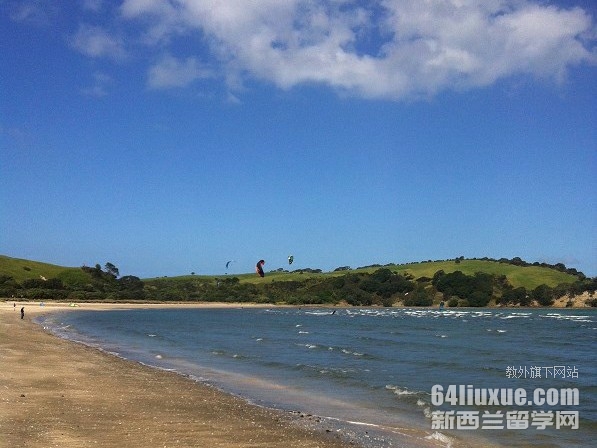 ����������רҵ��ѧ����